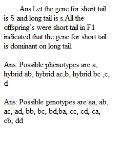 Darrell Kretchmar _Genetic Problem Set